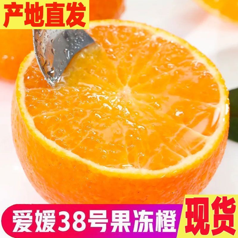 爱媛果冻橙38号/产区直发/大量有货