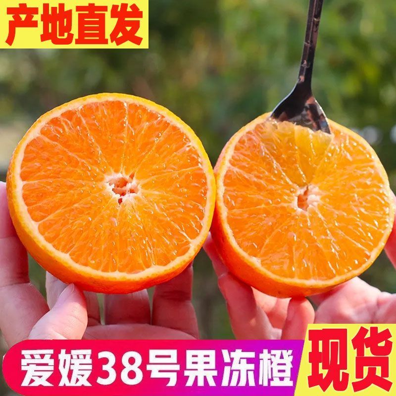 爱媛果冻橙38号/产区直发/大量有货