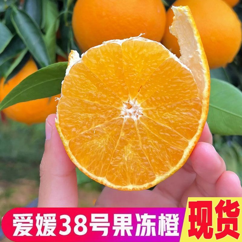 爱媛果冻橙38号/产区直发/大量有货