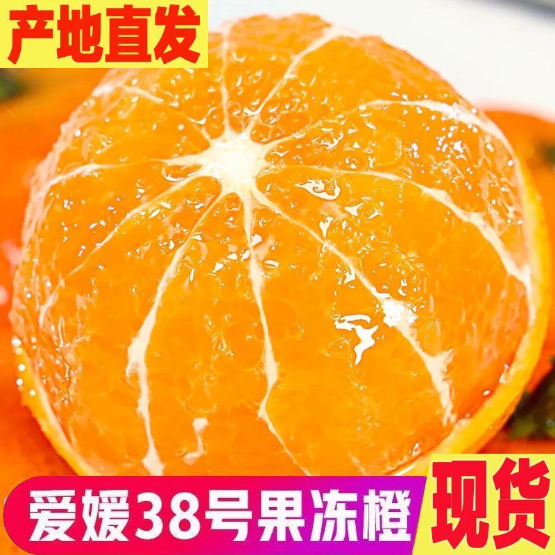 爱媛果冻橙38号/产区直发/大量有货