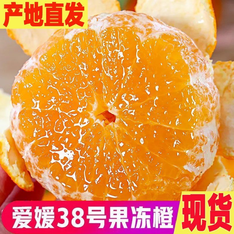 爱媛果冻橙38号/产区直发/大量有货