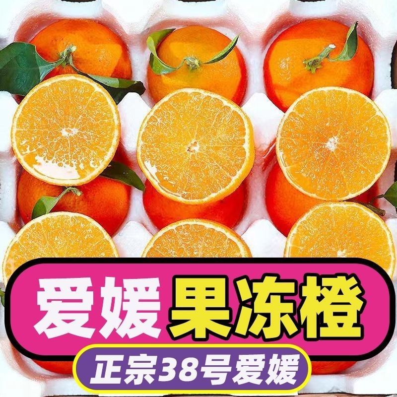 爱媛果冻橙38号/产区直发/大量有货
