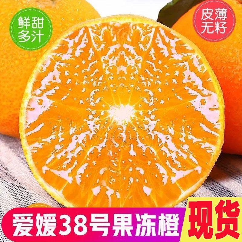 爱媛果冻橙38号/产区直发/大量有货
