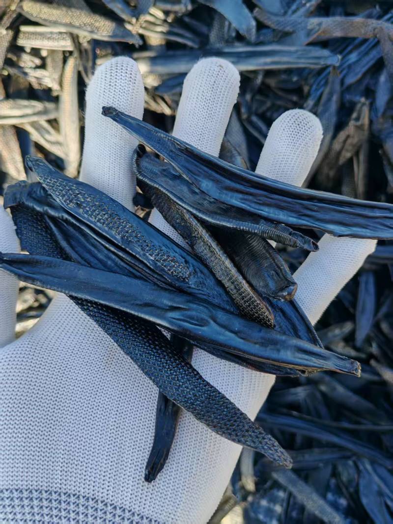 水蛭干菲牛蛭干晒干条基地直供可视频看货品质优欢迎咨