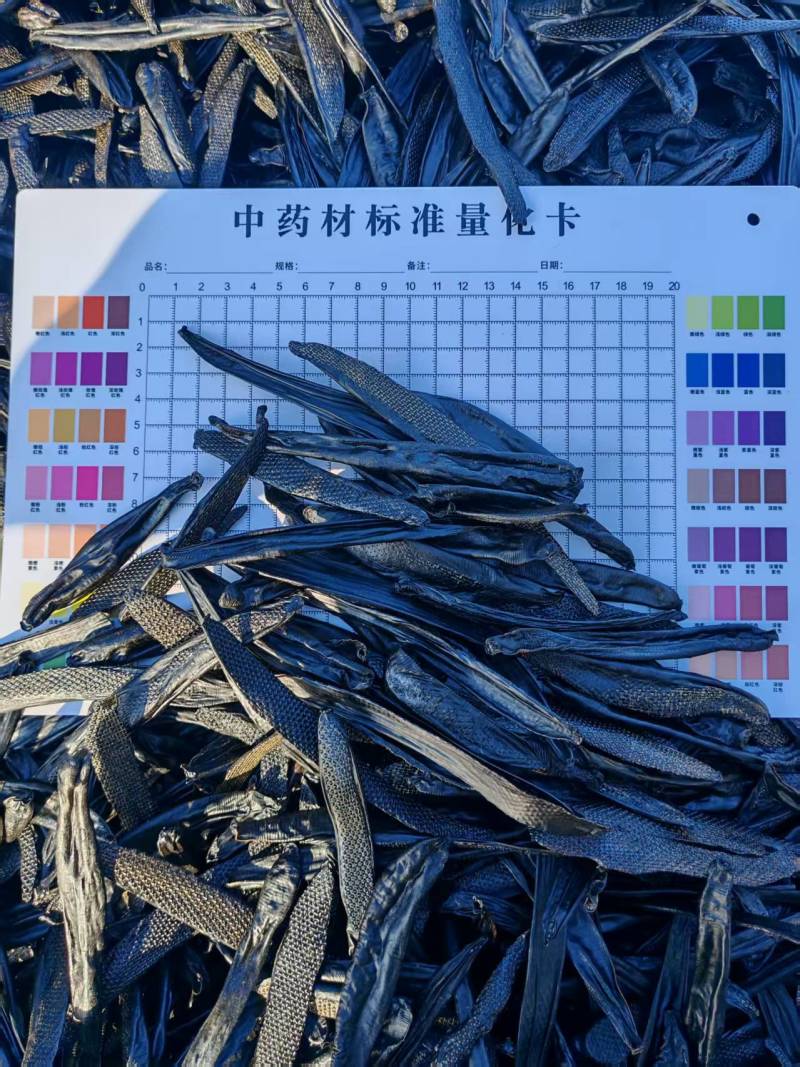 水蛭干菲牛蛭干晒干条基地直供可视频看货品质优欢迎咨