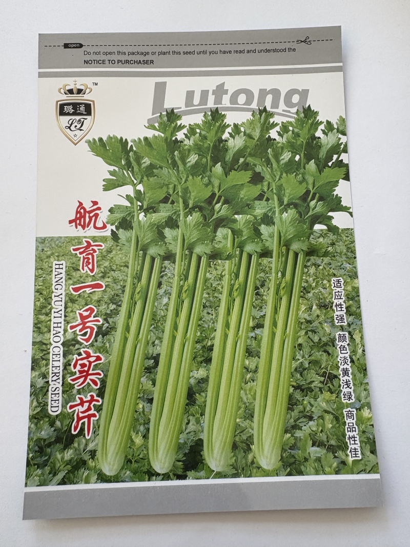 航育一号实芹种子璐通芹菜种子厂家直销品质保障