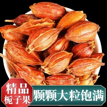 栀子山栀子新货纯干颜色好一手货源中药材批发