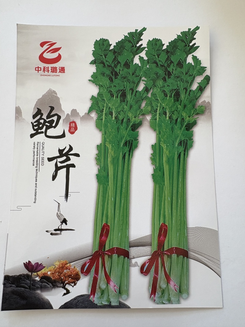 鲍芹种子璐通芹菜种子厂家直销品质保障