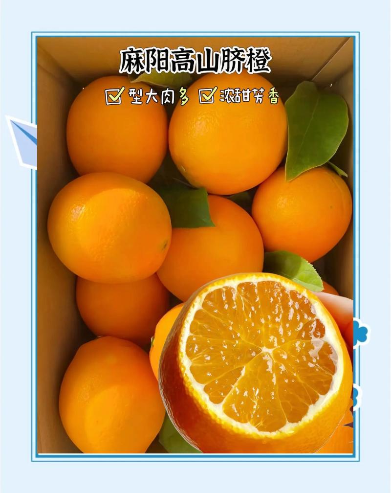 《实力》冰糖橙电商社团团购商超外贸农户一手货