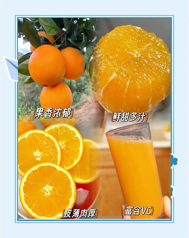 《实力》冰糖橙电商社团团购商超外贸农户一手货