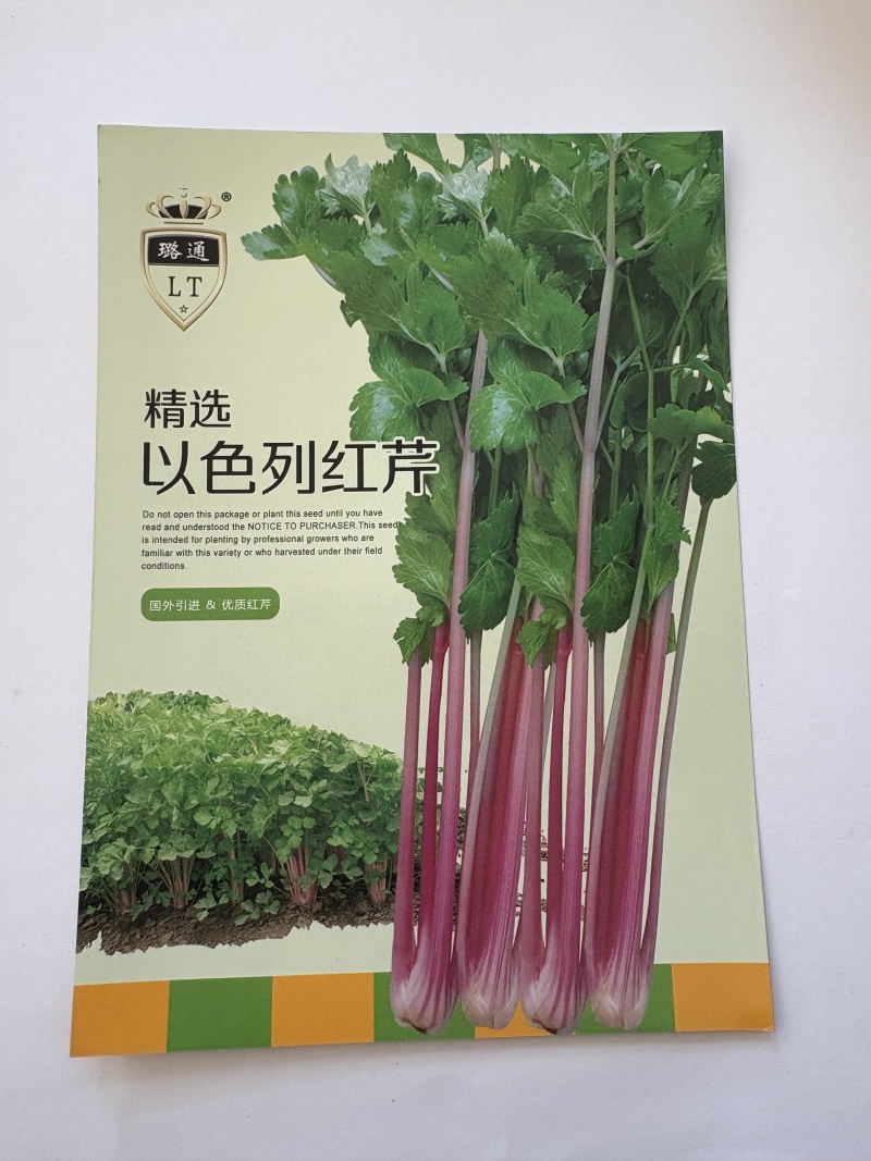 以色列红芹种子璐通芹菜种子厂家直销品质保障
