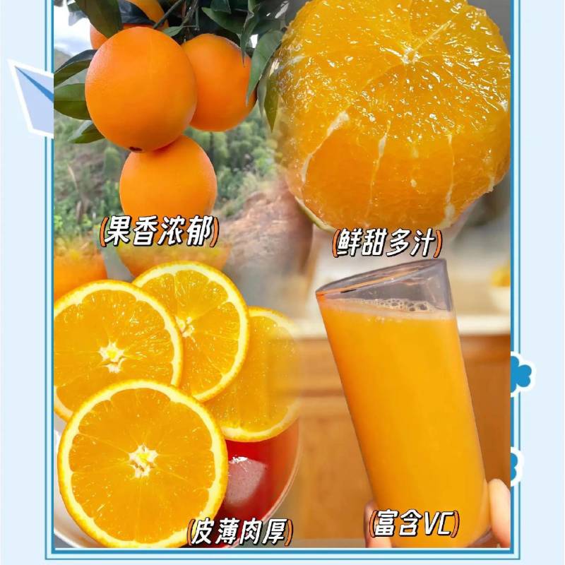 《实力》冰糖橙电商社团团购商超外贸农户一手货
