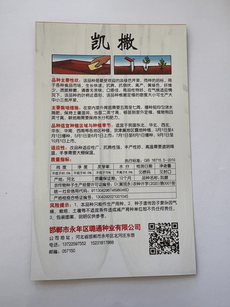 凯撒西芹种子璐通芹菜种子厂家直销品质保障
