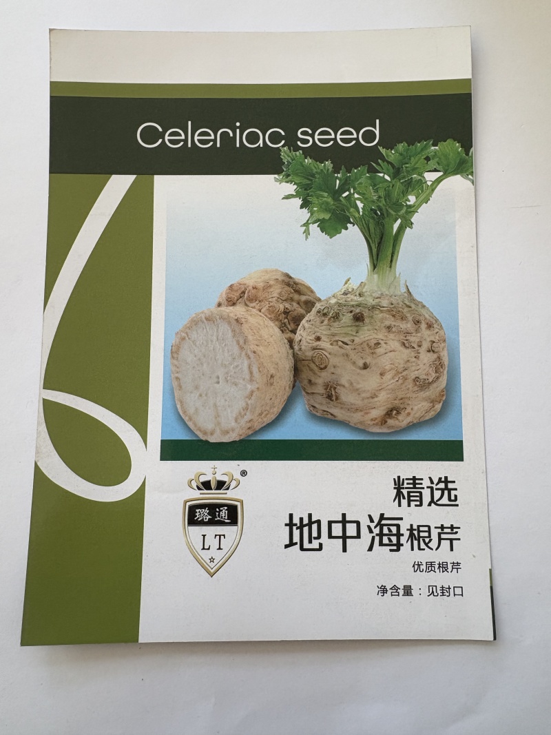 地中海根芹种子璐通芹菜种子厂家直销量大从优