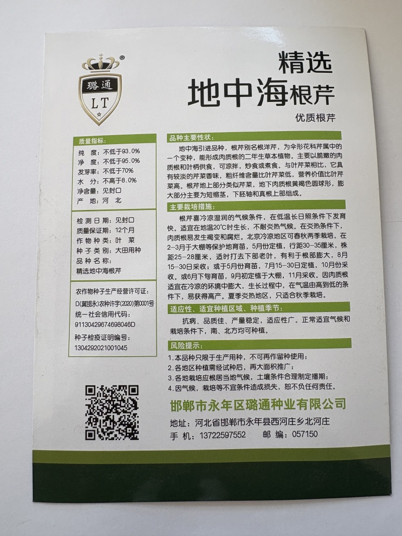 地中海根芹种子璐通芹菜种子厂家直销量大从优