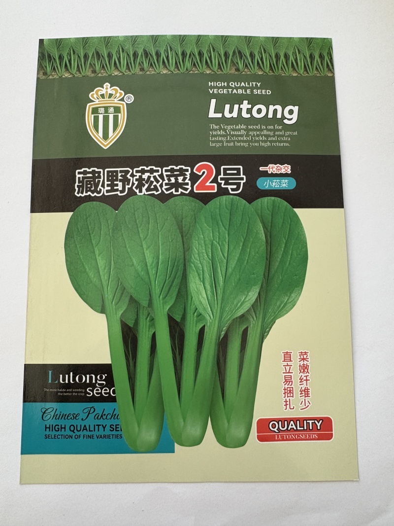 藏野崧菜2号菘菜种子厂家直销量大从优
