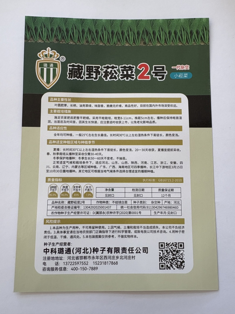 藏野崧菜2号菘菜种子厂家直销量大从优
