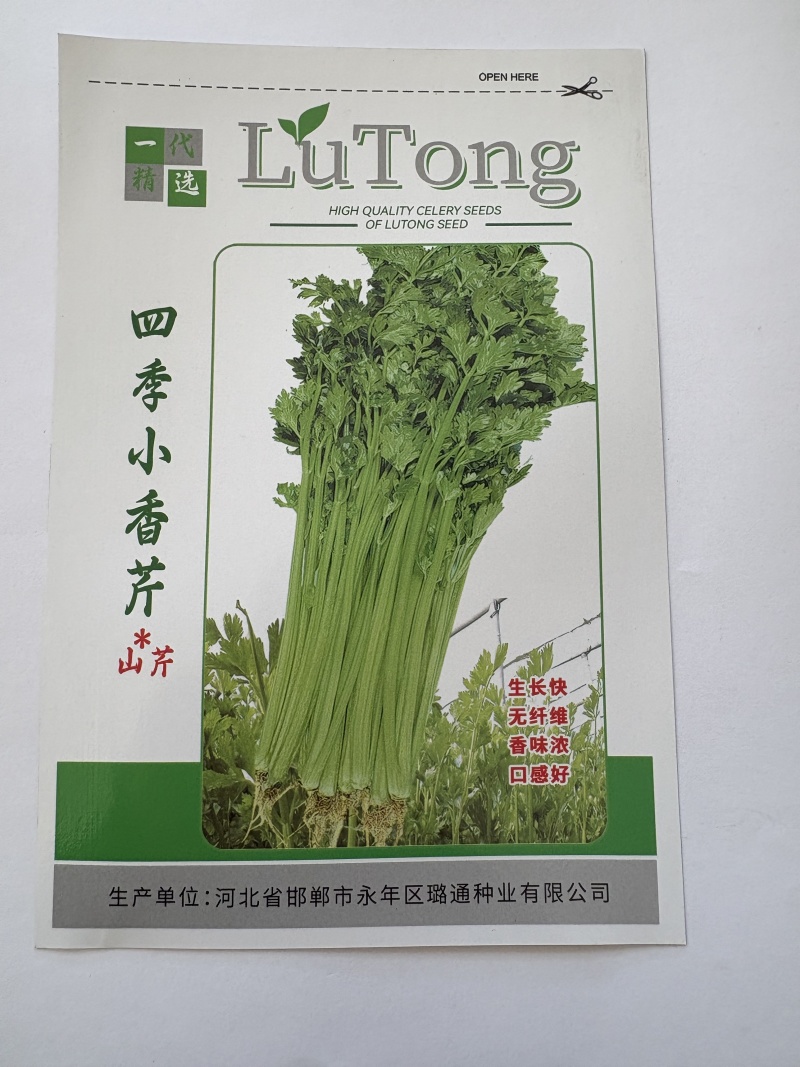 四季小香芹种子农家四季小香芹种子厂家直销量大从优