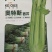 奥特斯西芹种子芹菜种子厂家直销量大从优