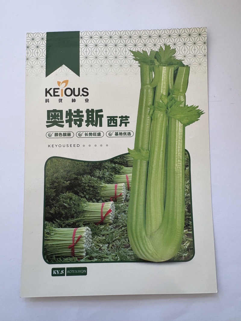 奥特斯西芹种子芹菜种子厂家直销量大从优