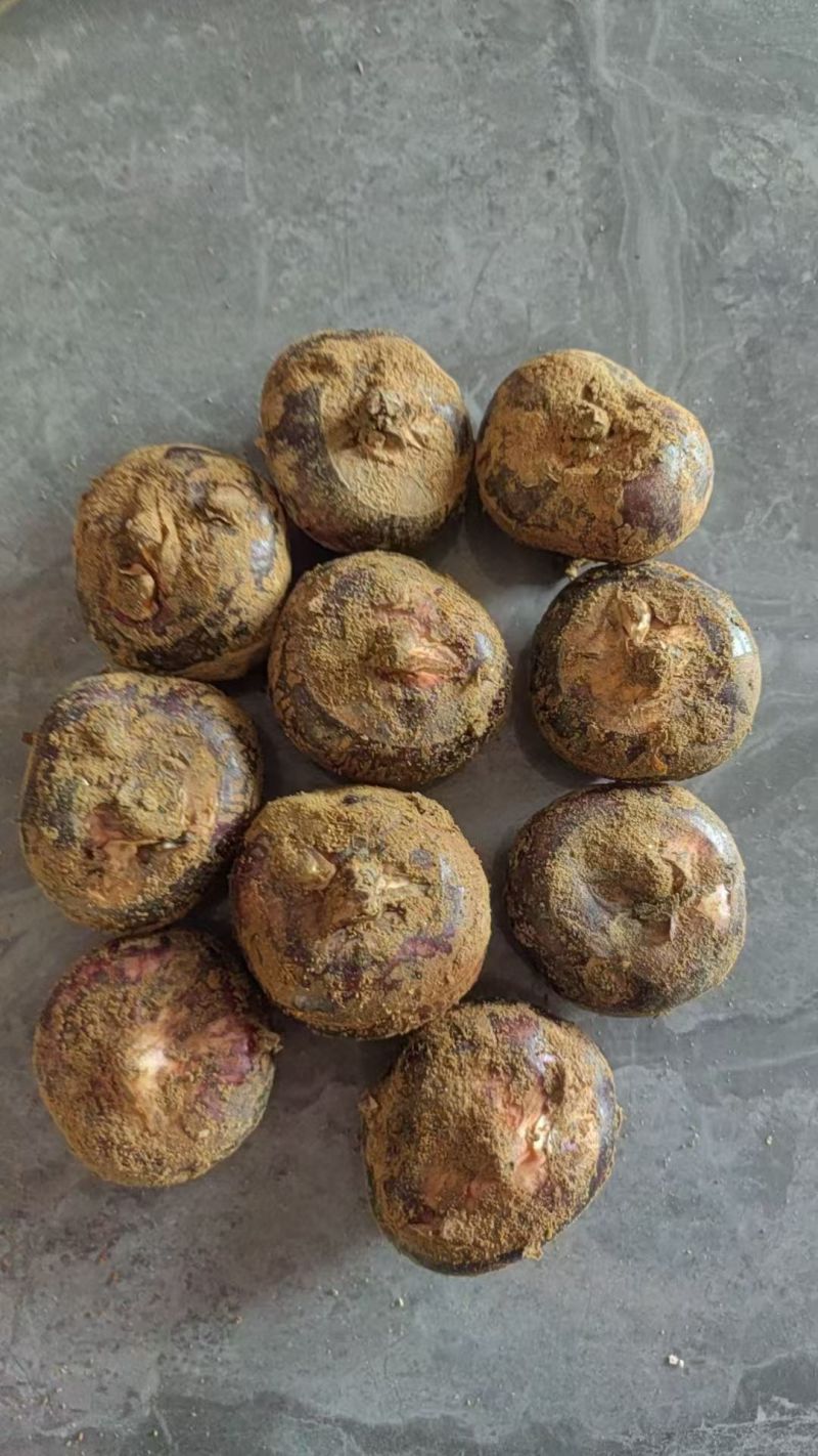 马蹄/毛马蹄/荸荠/产区直发/大量现货