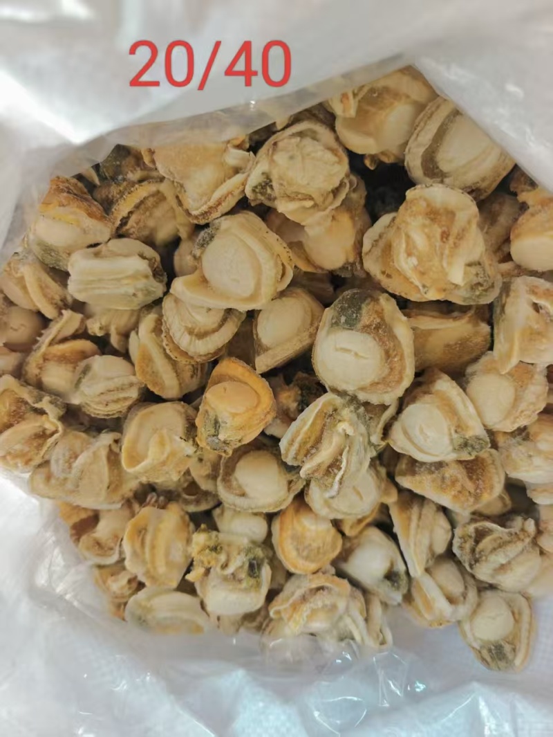 港湾贝肉+肉原汁无冰衣