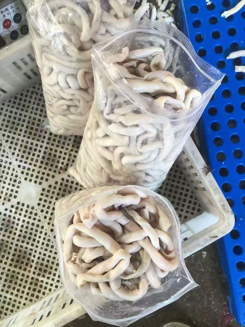 羊肠