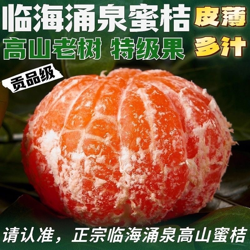 浙江台州临海蜜桔/产区直发/当天发车
