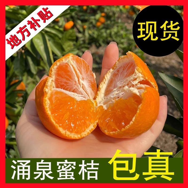 浙江台州临海蜜桔/产区直发/当天发车