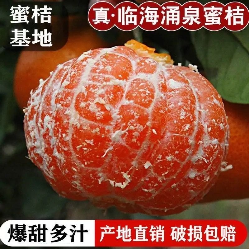 浙江台州临海蜜桔/产区直发/当天发车