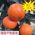 浙江台州临海蜜桔/产区直发/当天发车