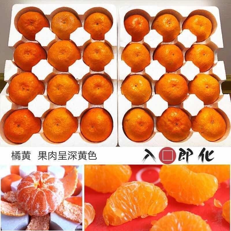 浙江台州临海蜜桔/产区直发/当天发车