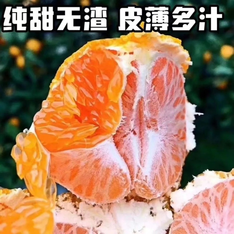 浙江台州临海蜜桔/产区直发/当天发车