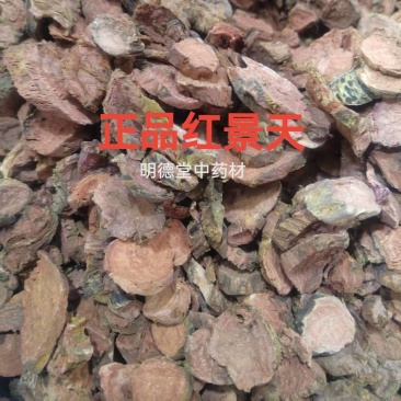 红景天正宗大花红景天中药材批发各种规格一手货源