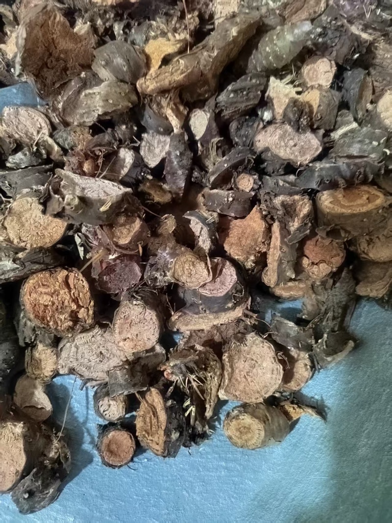 红景天正宗大花红景天中药材批发各种规格一手货源