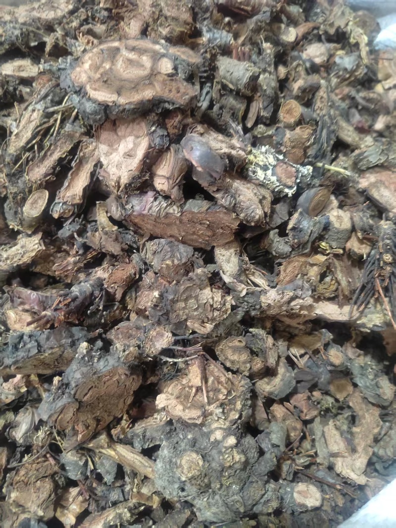 红景天正宗大花红景天中药材批发各种规格一手货源