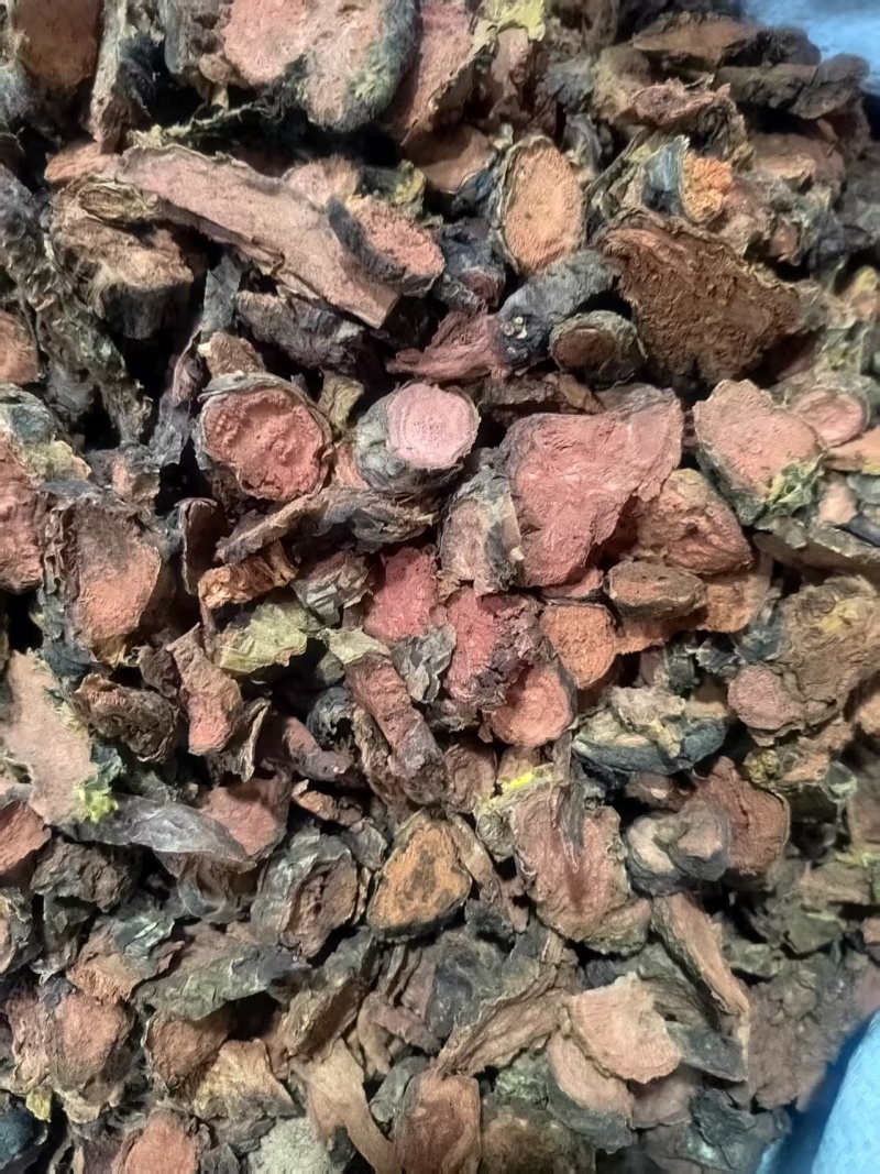 红景天正宗大花红景天中药材批发各种规格一手货源