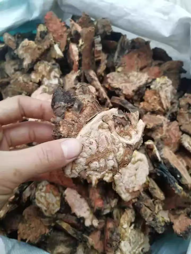 红景天正宗大花红景天中药材批发各种规格一手货源