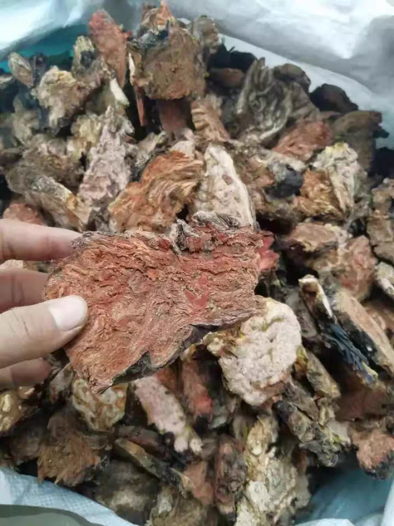 红景天正宗大花红景天中药材批发各种规格一手货源