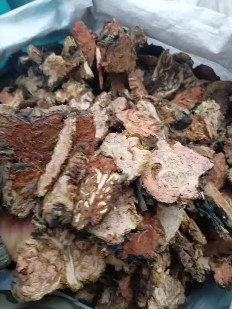 红景天正宗大花红景天中药材批发各种规格一手货源