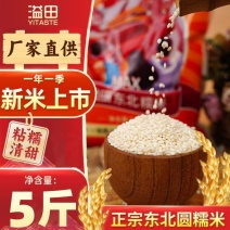 【溢田】东北圆粒糯米5斤10斤江米黏米包粽子米新糯米
