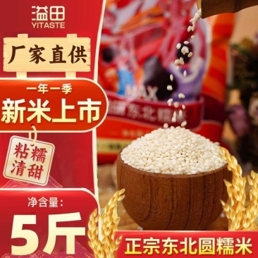 【溢田】东北圆粒糯米5斤10斤江米黏米包粽子米新糯米