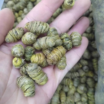 石斛正宗铁皮石斛石斛米各种规格一手货源批发霍山米