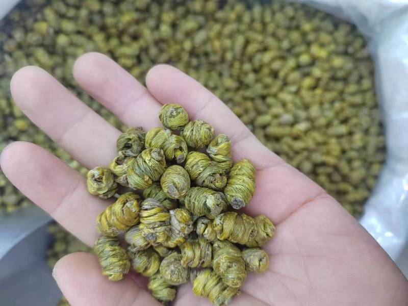 石斛正宗铁皮石斛石斛米各种规格一手货源批发霍山米