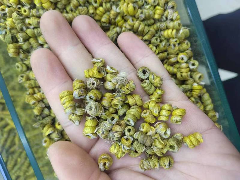 石斛正宗铁皮石斛石斛米各种规格一手货源批发霍山米