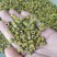 石斛正宗铁皮石斛石斛米各种规格一手货源批发霍山米