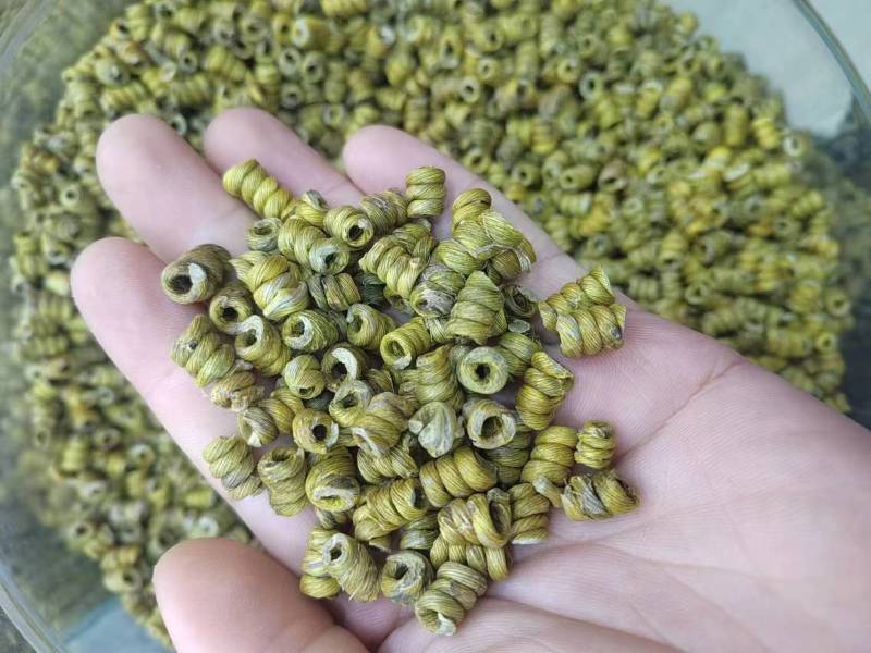 石斛正宗铁皮石斛石斛米各种规格一手货源批发霍山米
