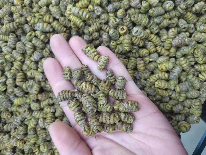 石斛正宗铁皮石斛石斛米各种规格一手货源批发霍山米