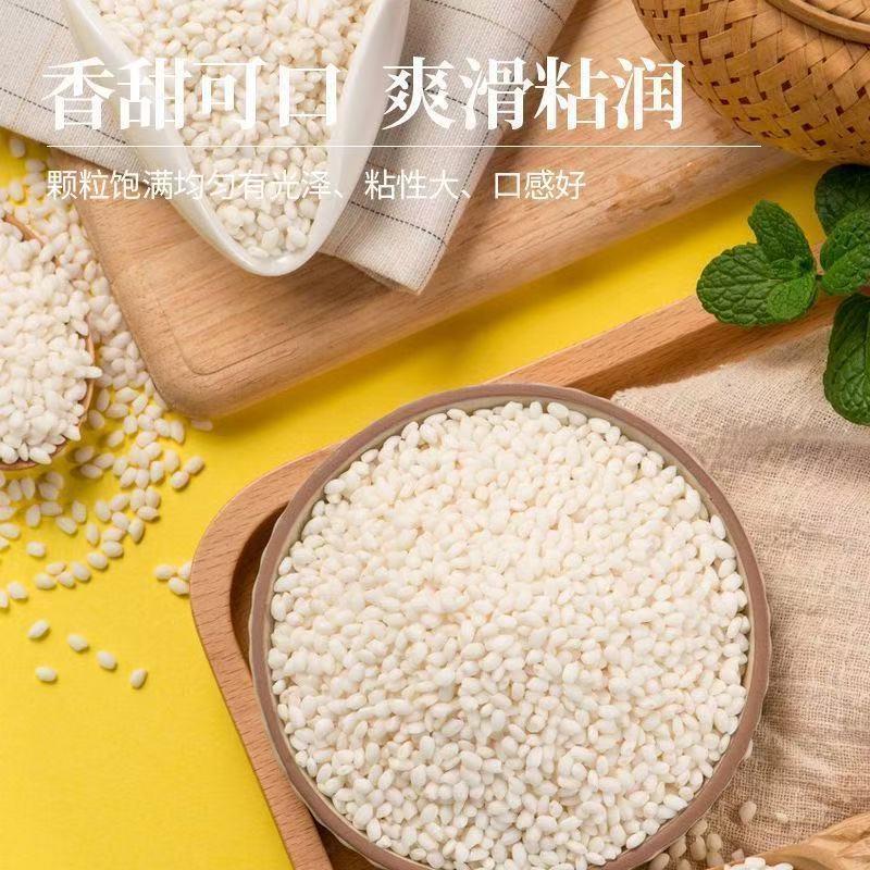 东北圆糯米5斤新米新鲜米白糯米江米酒酿包粽子米新糯正宗东