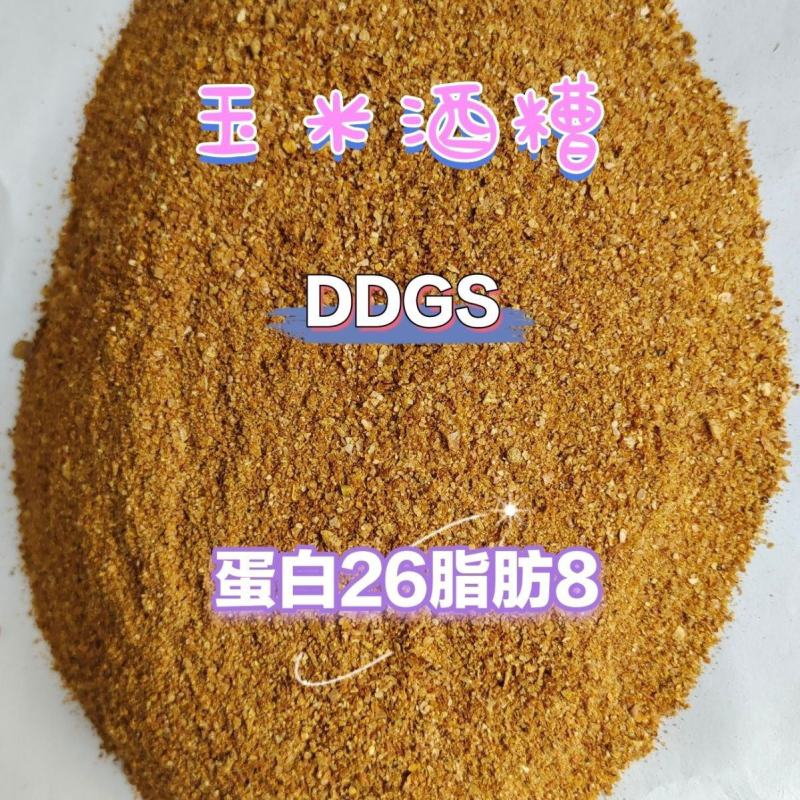 玉米酒糟酒糟DDGS厂家直发大量供应可视频看货